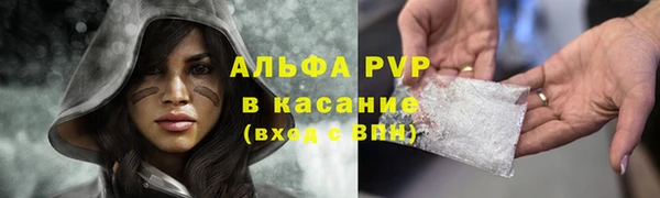гашик Алексеевка