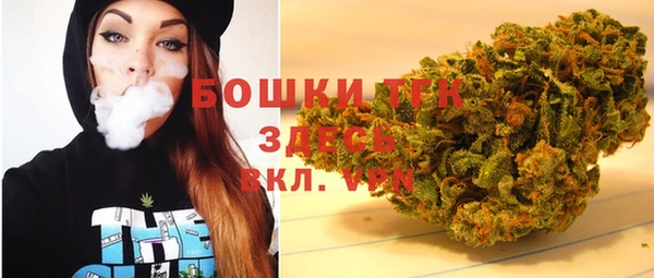 гашик Алексеевка