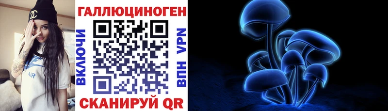 Псилоцибиновые грибы Psilocybine cubensis  Купить закладки  Усть-Джегута 